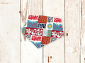 "4th of July" Dog Bandana