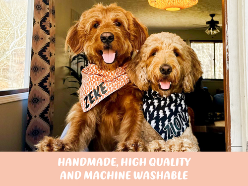 "Blush Hearts" Valentine's Day Dog Bandana