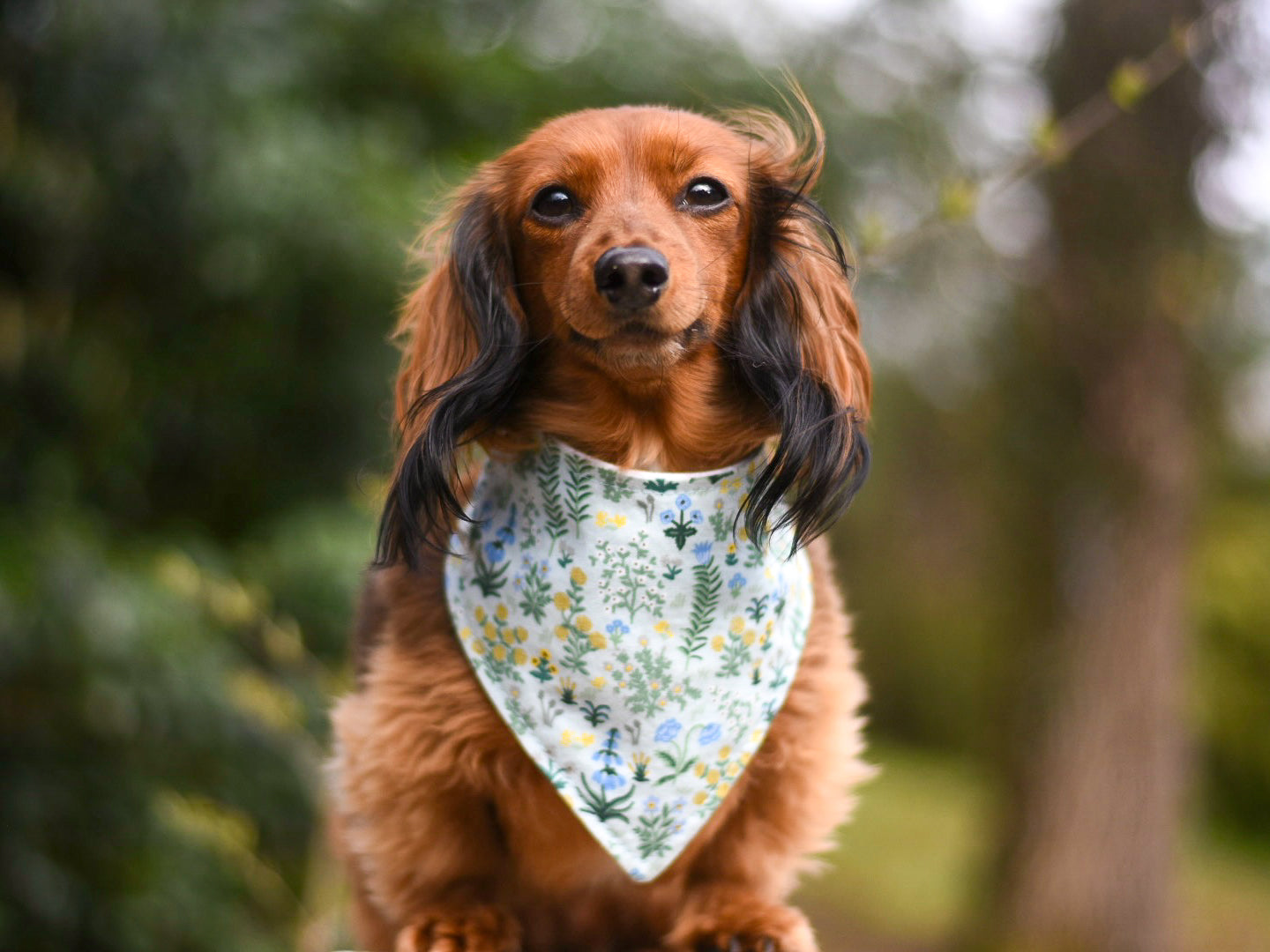 "Conversation Hearts on Pink" Dog Bandana