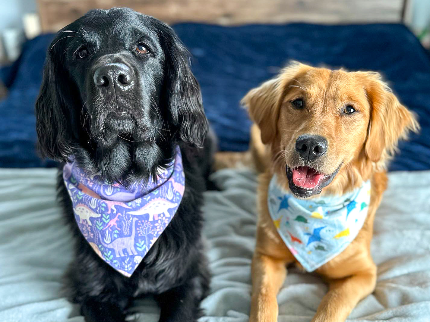 "Big Valentine Hearts" Dog Bandana