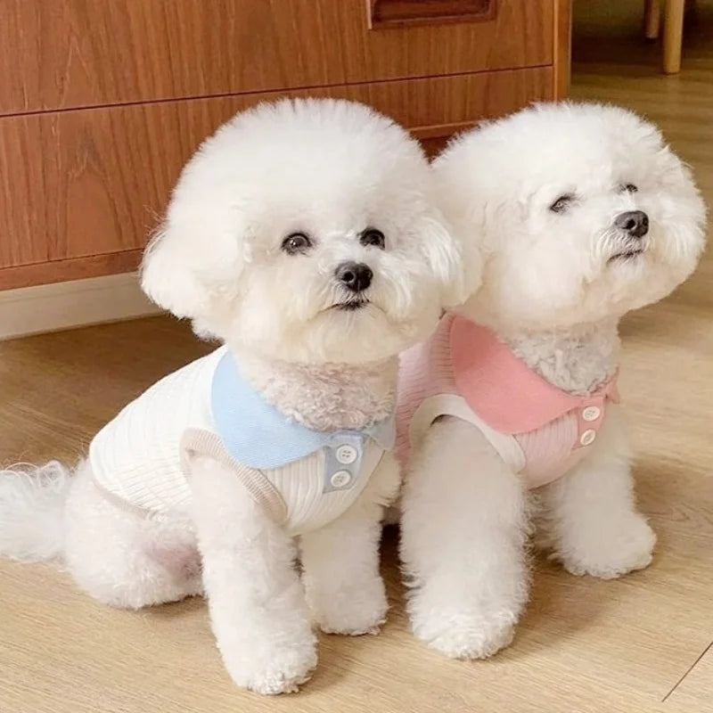 Breathable Dog Polo Shirt – Soft Summer Vest for Small Dogs & Cats