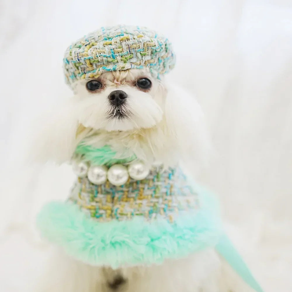 Princess Cloak Harness Outfit for Small Dogs & Cats – Winter Chest & Back Leash Set