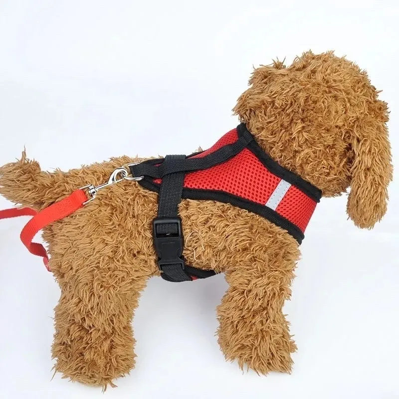 Adjustable Mesh Vest Harness & Leash Set for Cats & Small Dogs – Escape-Proof, Reflective, S-L