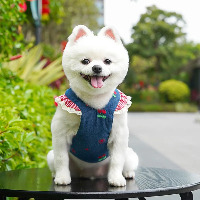 Spring Summer Cherry Denim Pet Dress, Cute Ruffled Skirt for Small Dogs Cats, Teddy Pomeranian Bichon Princess Outfit