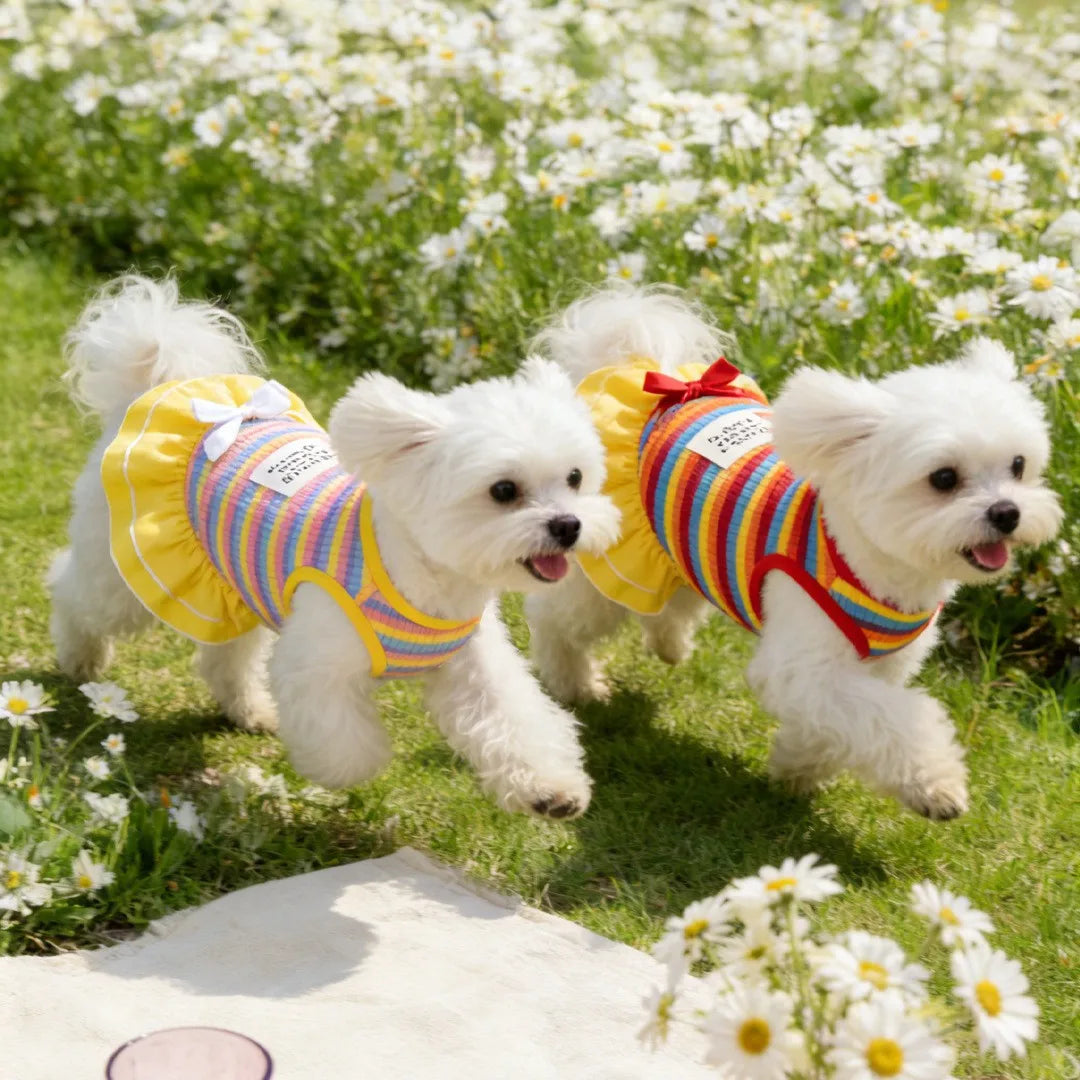 Sunscreen dog clothes, rainbow striped pet dress, outdoor camping pet dress, dog clothes, summer thin styles.