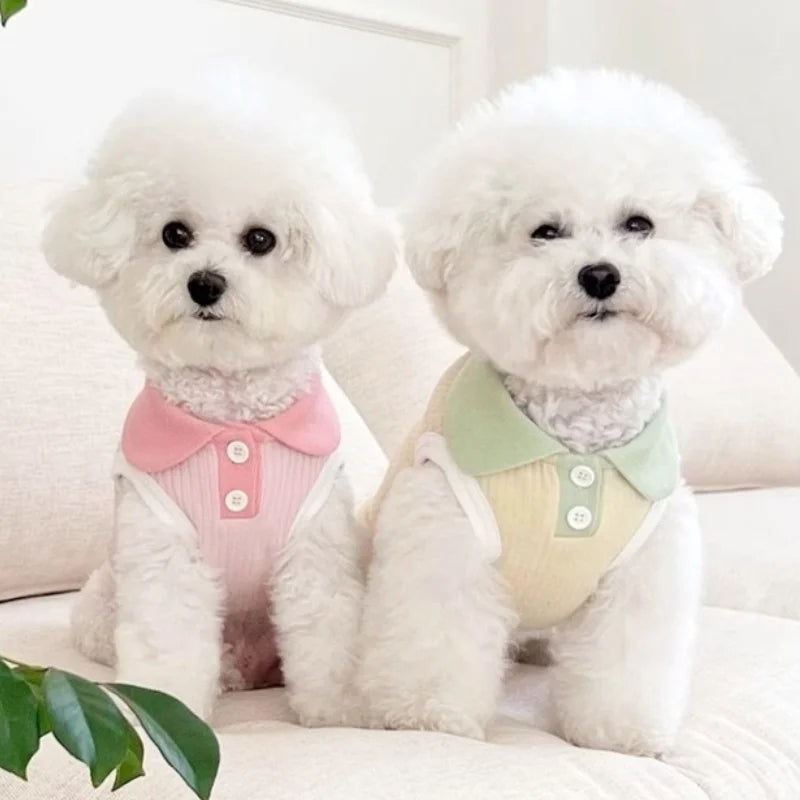 Breathable Dog Polo Shirt – Soft Summer Vest for Small Dogs & Cats