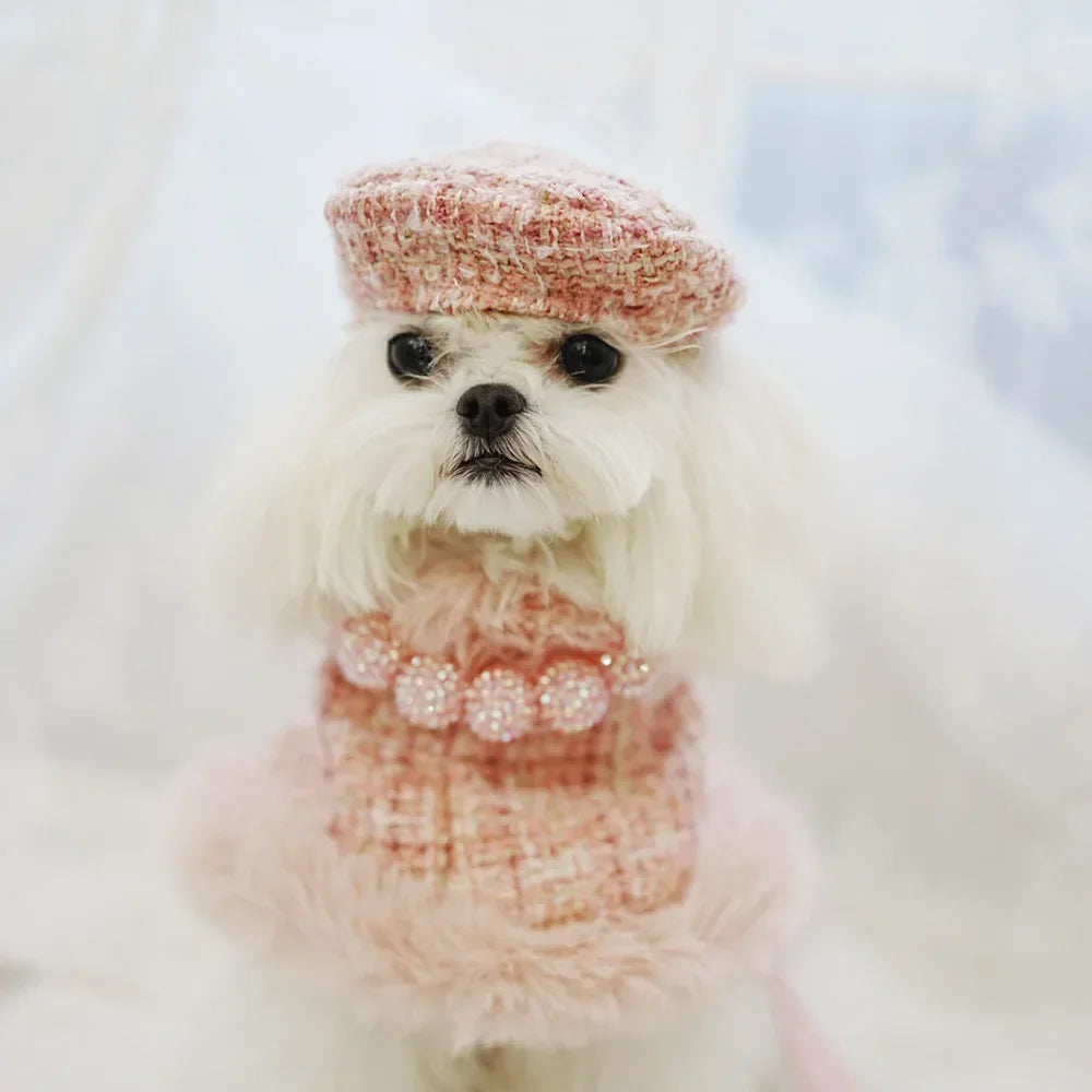 Princess Cloak Harness Outfit for Small Dogs & Cats – Winter Chest & Back Leash Set